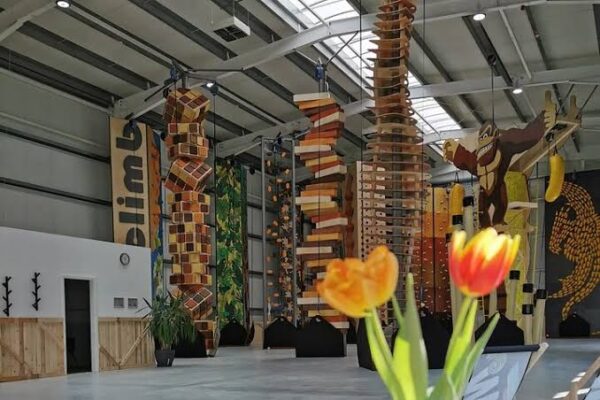 5 Best Climbing Training Services in Mannheim - Improve climbing technique and route confidence